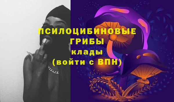 трава Верея