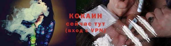 прущие грибы Надым