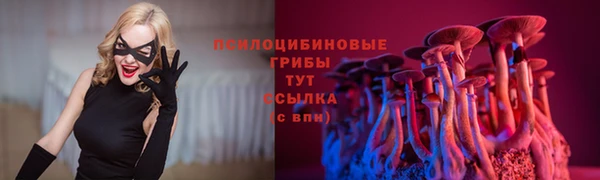 трава Верея