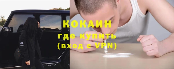 прущие грибы Надым